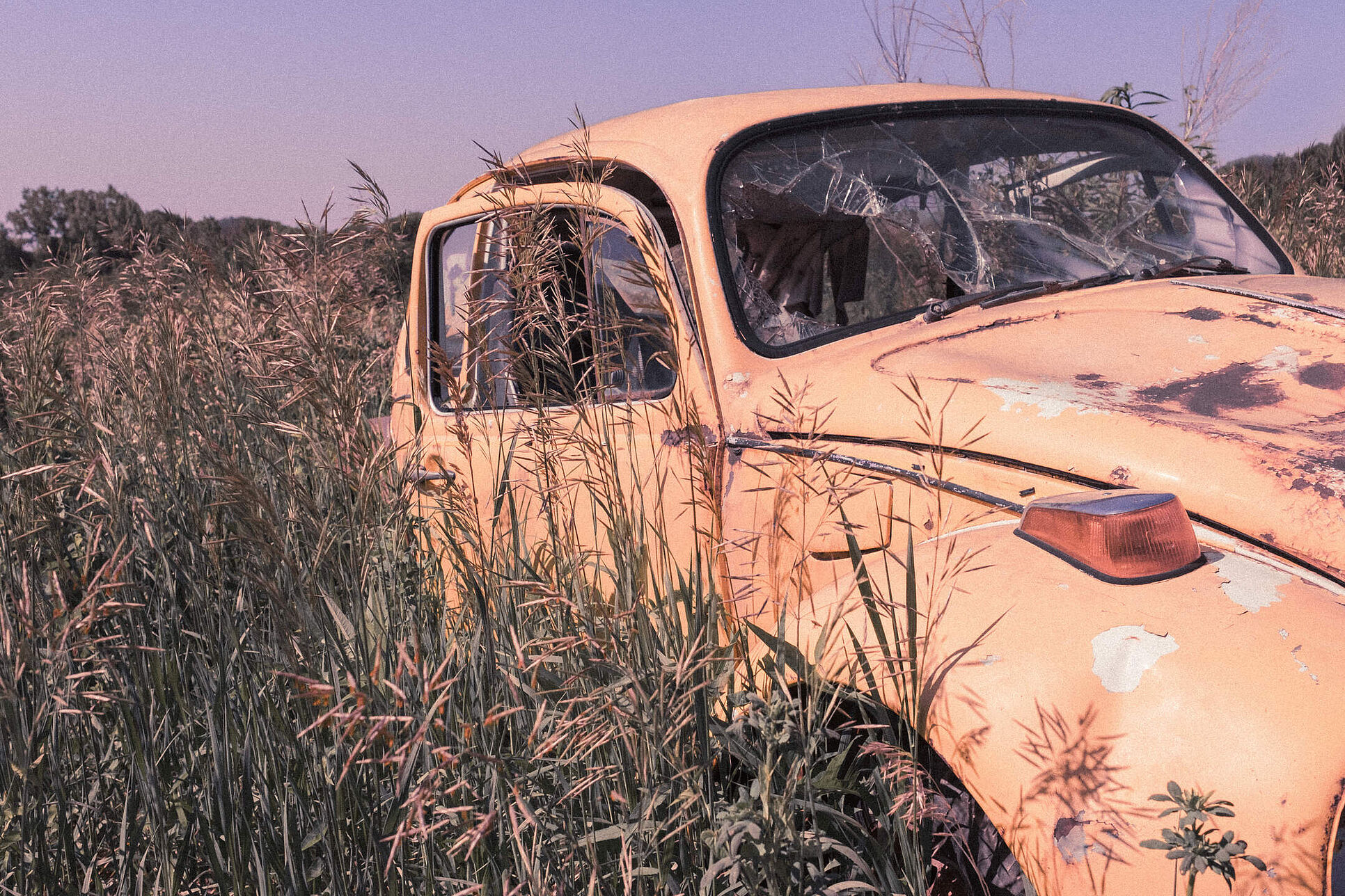 gratisography-rusty-car-in-field-free-stock-photo.jpg